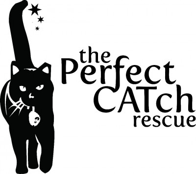 The Perfect CATch Rescue, Inc. - Animal Shelter and Rescue in Vallejo, California