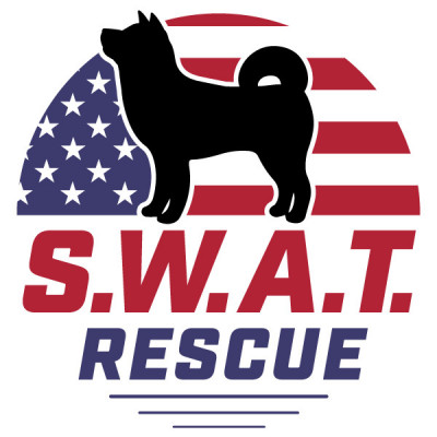 Southwest Akita Tactical Rescue - Animal Shelter and Rescue in San Tan Valley, Arizona