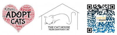 The Cat House - Feline Sanctuary Inc. - Pet Shelter and Rescue in Ashland, Ohio