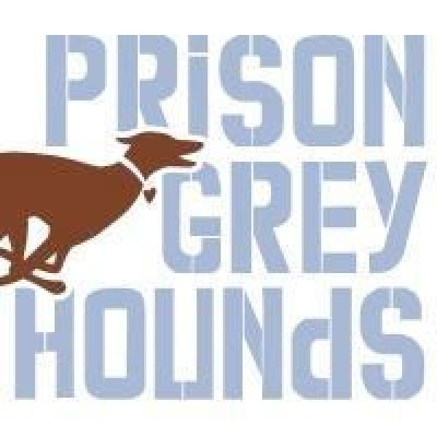 Prison Greyhounds - Animal Shelter and Rescue in Indianapolis, Indiana