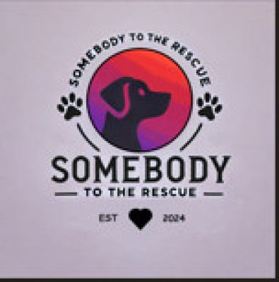 Somebody To The Rescue - Animal Shelter and Rescue in Corinth, Mississippi