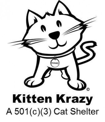 Kitten Krazy Inc. - Pet Shelter and Rescue in Medina, Ohio