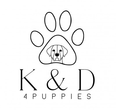 K & D 4 Puppies - Animal Shelter and Rescue in Clovis, New Mexico