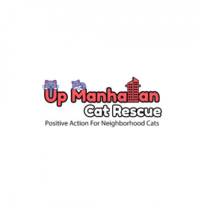 Up Manhattan Cat Rescue - Animal Shelter and Rescue in New York, New York