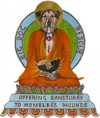 Big Dog Rescue - Pet Shelter and Rescue in Penngrove, California