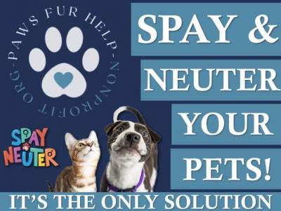 Paws Fur Help, Inc. - Animal Shelter and Rescue in McAllen, Texas