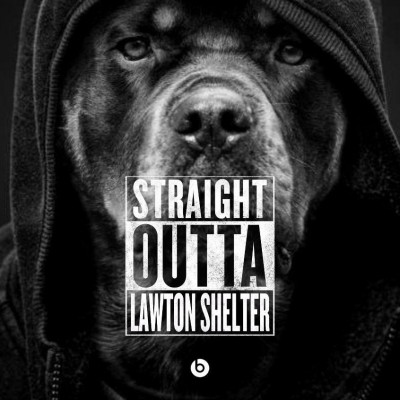 Lawton Animal Welfare - Animal Shelter and Rescue in Lawton, Oklahoma