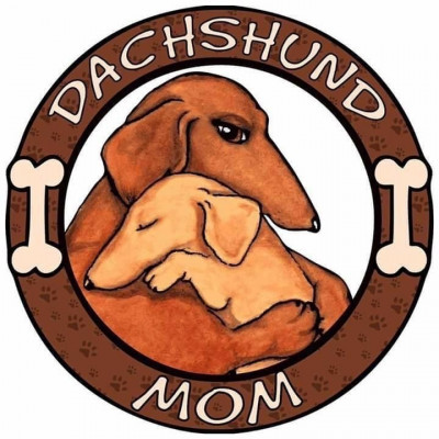 Central Texas Dachshund Rescue - Pet Shelter and Rescue in Houston, Texas