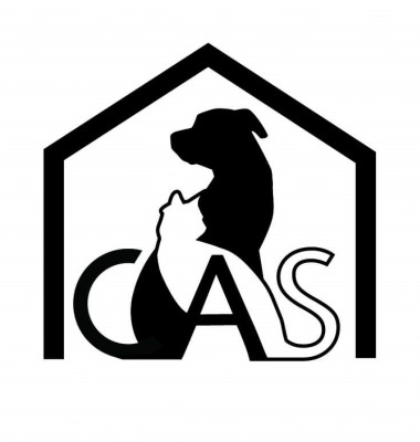 Cranston Animal Shelter - Animal Shelter and Rescue in Cranston, Rhode Island