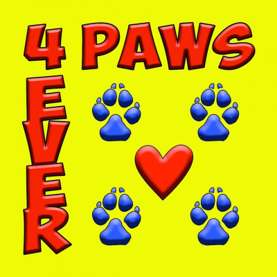 4 Paws 4 Ever - Animal Shelter and Rescue in Weatherford, Texas