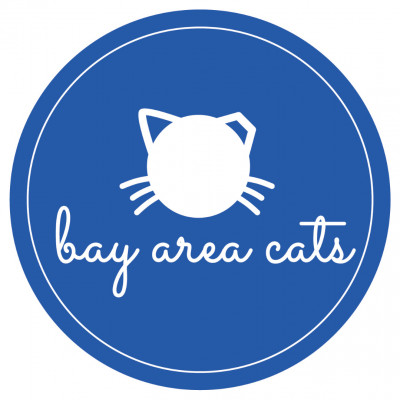 Bay Area Cats - Animal Shelter and Rescue in Sunnyvale, California