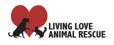 Living Love Animal Rescue - Pet Shelter and Rescue in Marble Falls, Texas