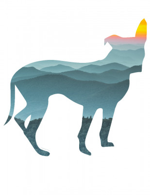 Spring Creek Mobile Veterinary Services - Animal Shelter and Rescue in Hot Springs, North Carolina