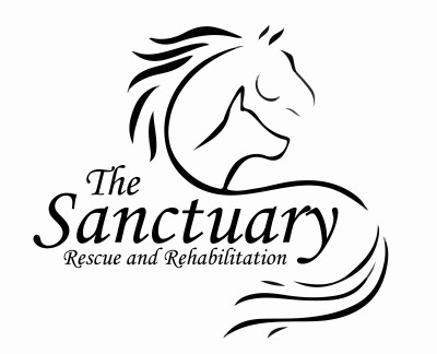 The Sanctuary Rescue And Rehabilitation - Pet Shelter and Rescue in Cromwell, Minnesota