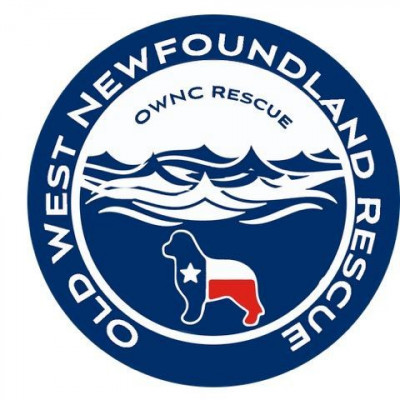 Old West Newfoundland Rescue, Inc. - Animal Shelter and Rescue in Magnolia, Texas