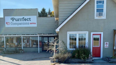 Purrfect Companions Of Norfolk Cat Rescue And Adoptions - Animal Shelter and Rescue in Delhi, Ontario