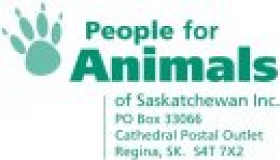 Regina Cat Rescue - Animal Shelter and Rescue in Regina, Saskatchewan