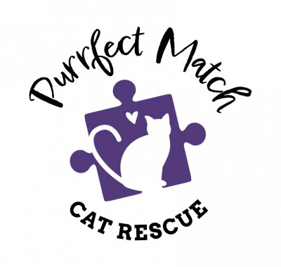 Perfect Match Animal Rescue - Pet Shelter and Rescue in Memphis, Tennessee