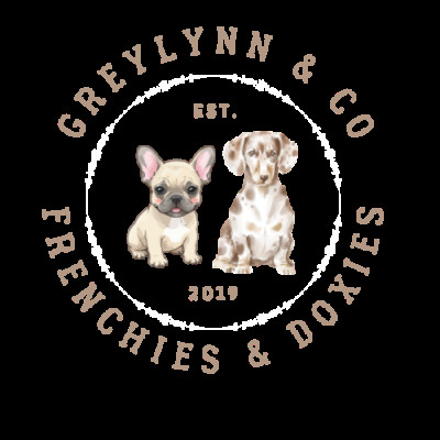 Greylynn And Co - Dog Breeder in Newark, Texas