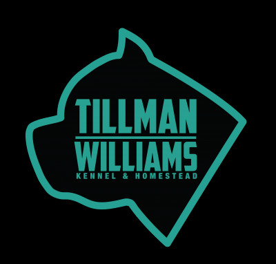 Tillman Williams Kennel - Pet Breeder in Saint Matthews, South Carolina