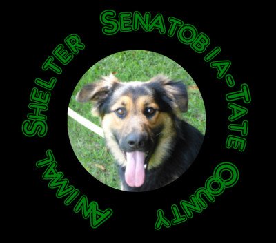 Senatobia-Tate Co. Animal Shelter - Pet Shelter and Rescue in Senatobia, Mississippi