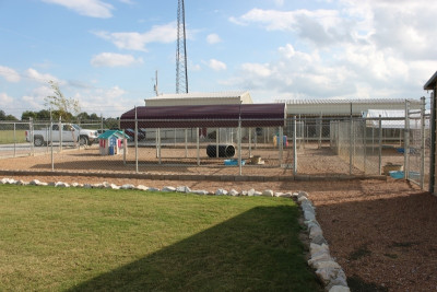 Wynne Friends Of Animals - Pet Shelter and Rescue in Wynne, Arkansas