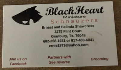 Blackheart Miniature Schnauzers  - Dog Breeder in Granbury, Texas