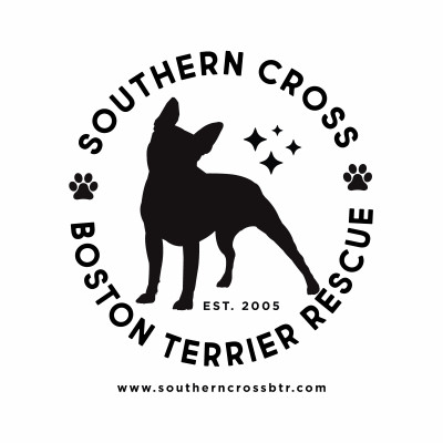 Southern Cross Boston Terrier Rescue - Pet Shelter and Rescue in Jackson, Tennessee