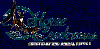 Horse Creek Wildlife Sanctuary - Pet Shelter and Rescue in Savannah, Tennessee