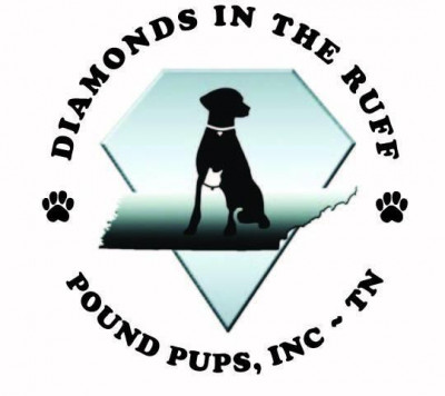 Diamonds In The Ruff Pound Pups - Pet Shelter and Rescue in Union City, Tennessee