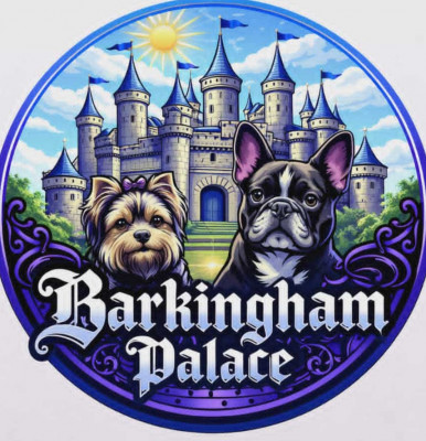 Barkingham Palace Pups - Morkie Breeder in Gilmer, Texas