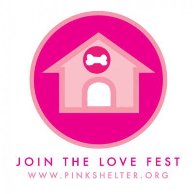 Little Pink Shelter - Pet Shelter and Rescue in Westport, Connecticut