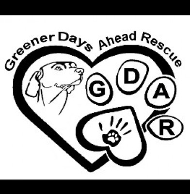 Greener Days Ahead Rescue - Pet Shelter and Rescue in Mount Vernon, Arkansas