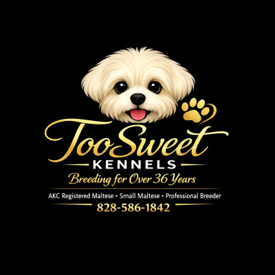 TooSweet Kennel - Pet Breeder in Sylva, North Carolina