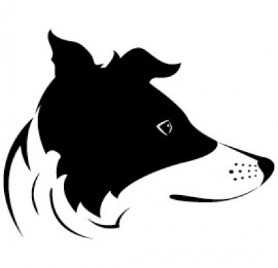 Carolina Border Collie Rescue - Pet Shelter and Rescue in Durham, North Carolina