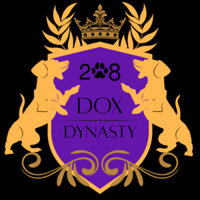 208 Dox Dynasty - Dog Breeder in Mesquite, Texas