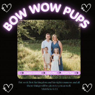 Katey McAdams - Dog Breeder in Durant, Oklahoma