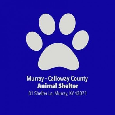 Murray/Calloway County Animal Shelter - Pet Shelter and Rescue in Murray, Kentucky