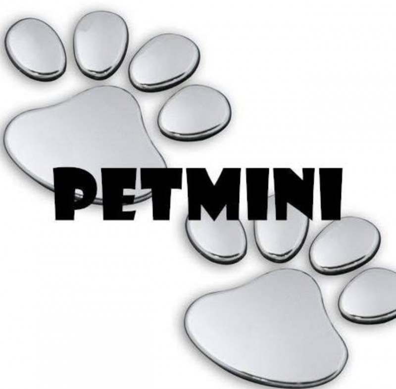 PETMINI logo