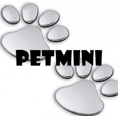 PETMINI - Cat Breeder in Los Angeles, California