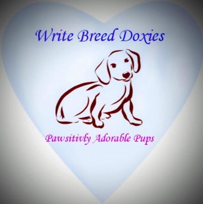 Write Breed Doxies LLC  logo