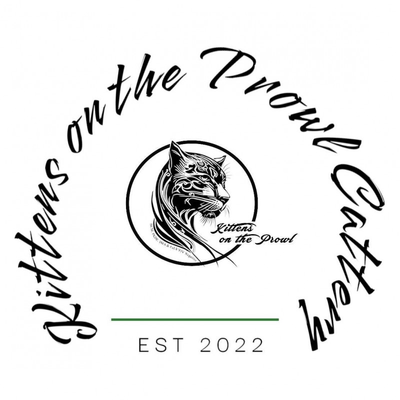 Kittens On The Prowl Cattery  logo