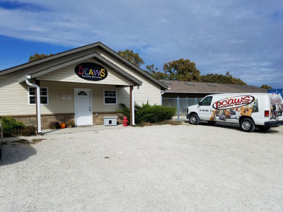 Dent County Animal Welfare Society - Pet Shelter and Rescue in Salem, Missouri