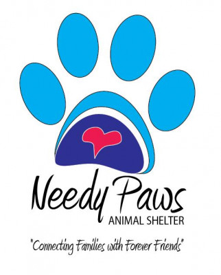 Needy Paws Animal Shelter - Pet Shelter and Rescue in Clarksville, Arkansas