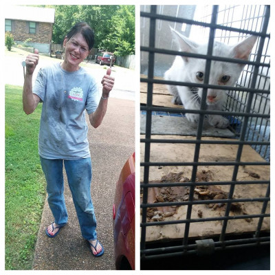 The Cat Shoppe Rescue - Pet Shelter and Rescue in Nashville, Tennessee