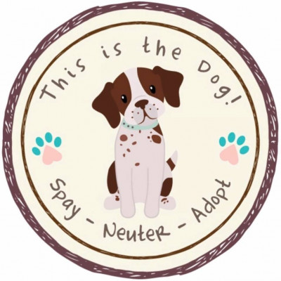 This Is The Dog! - Pet Shelter and Rescue in Homestead, Florida