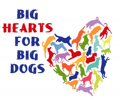 Big Hearts For Big Dogs Rescue - Pet Shelter and Rescue in Fort Myers, Florida