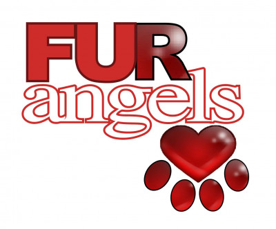 Fur Angels Rescue - Pet Shelter and Rescue in Miami, Florida