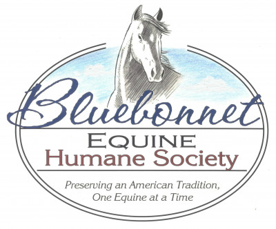 Bluebonnet Equine Humane Society - Pet Shelter and Rescue in Rosharon, Texas