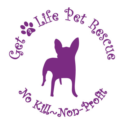 GET A LIFE PET RESCUE/S.Fl.Pet Rescue & Rehab. Inc. - Pet Shelter and Rescue in Plantation, Florida